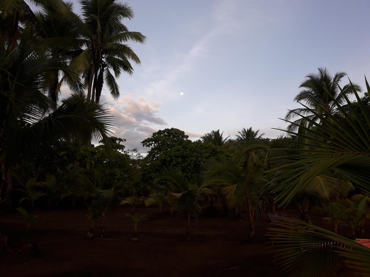 Hostal Pachamama Isla de Canas Екстериор снимка