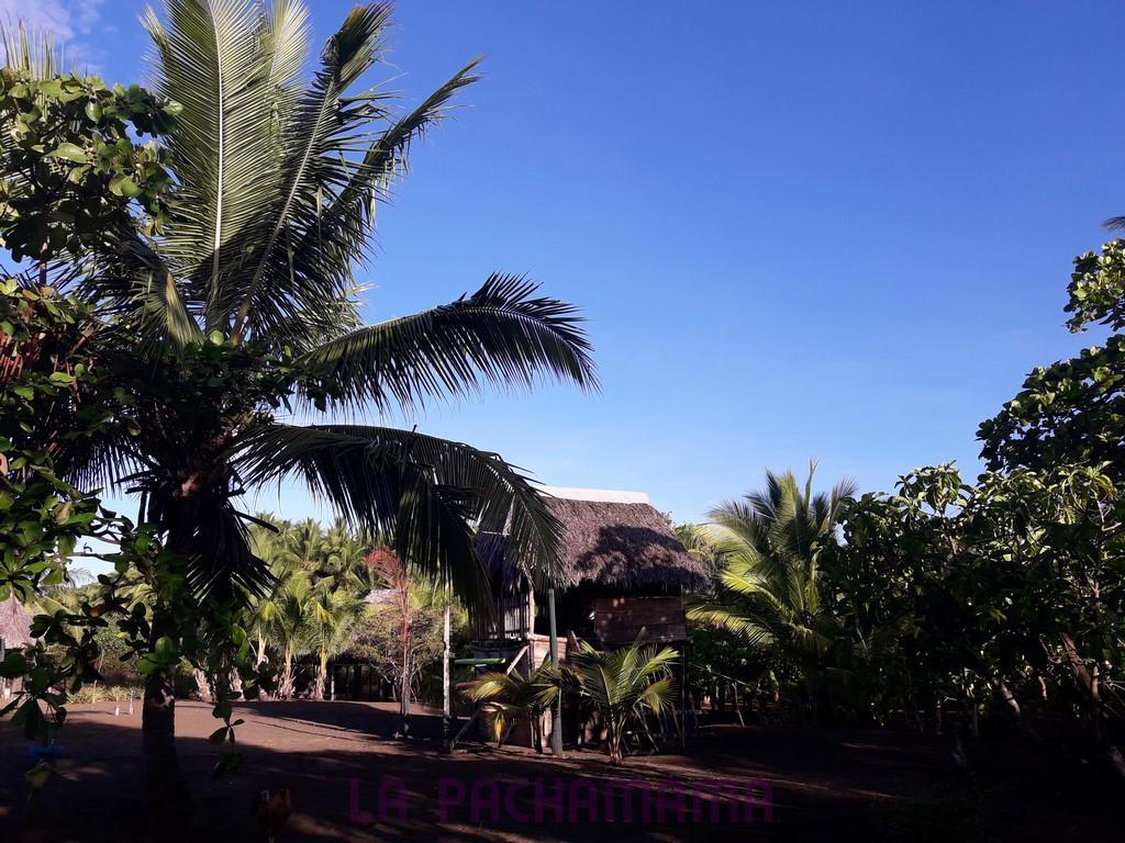 Hostal Pachamama Isla de Canas Екстериор снимка
