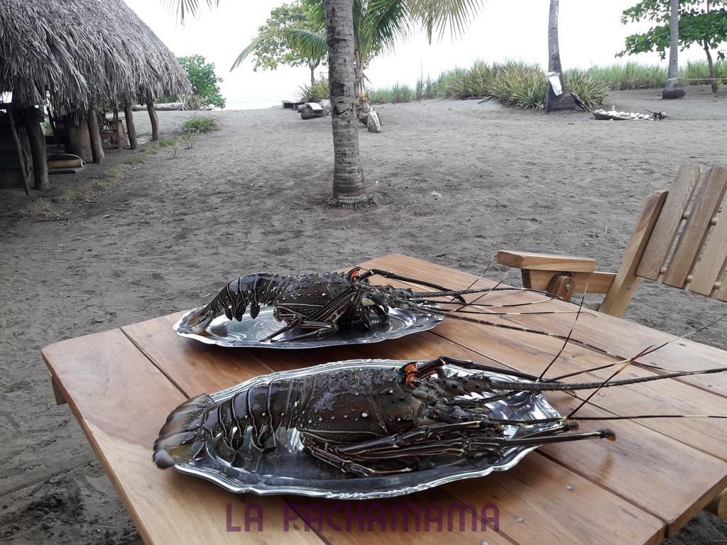 Hostal Pachamama Isla de Canas Екстериор снимка