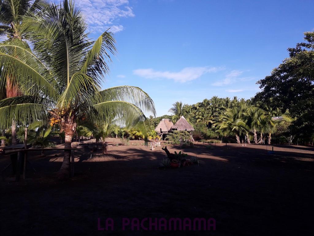 Hostal Pachamama Isla de Canas Екстериор снимка