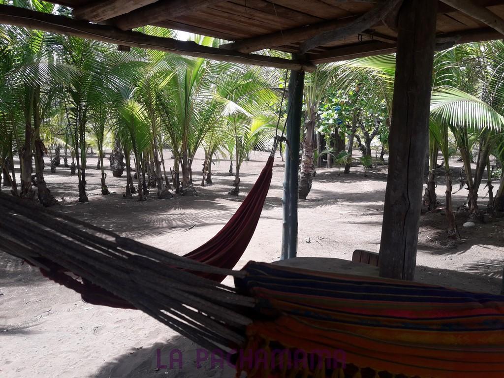 Hostal Pachamama Isla de Canas Екстериор снимка