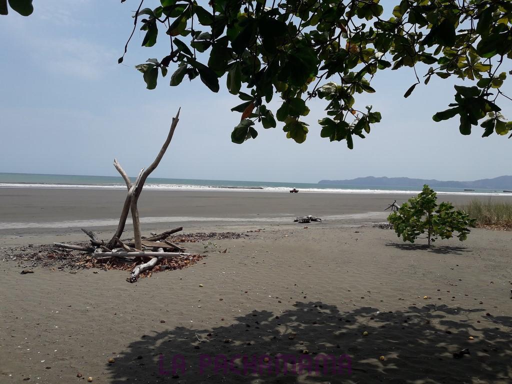 Hostal Pachamama Isla de Canas Екстериор снимка