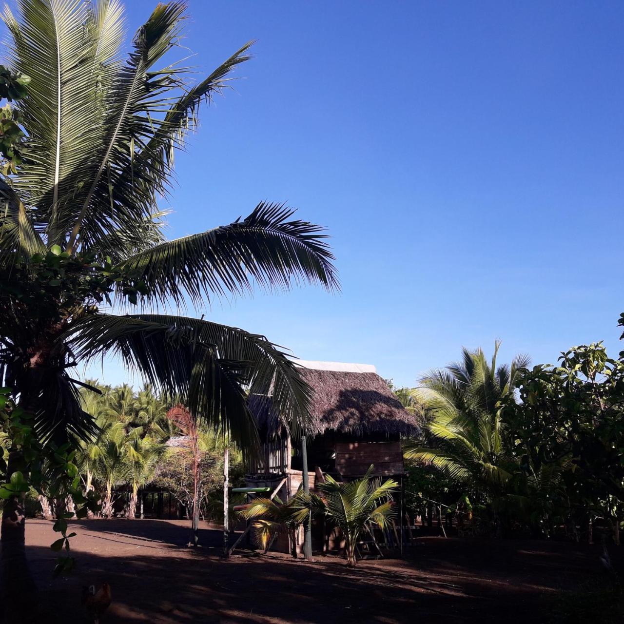 Hostal Pachamama Isla de Canas Екстериор снимка